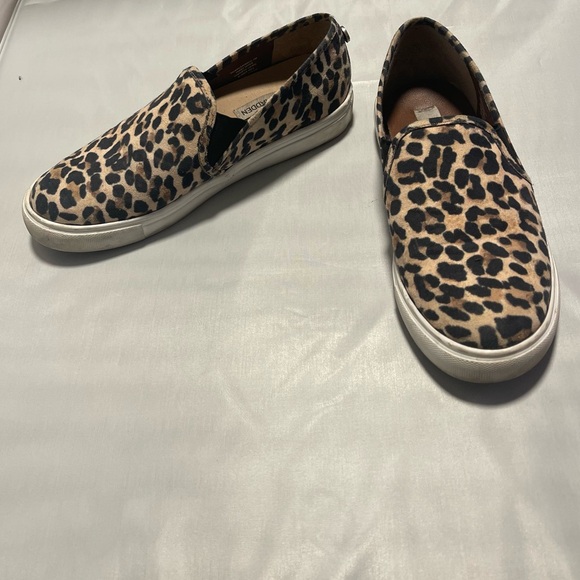 Steve Madden Cheetah Shoes - Picture 4 of 7